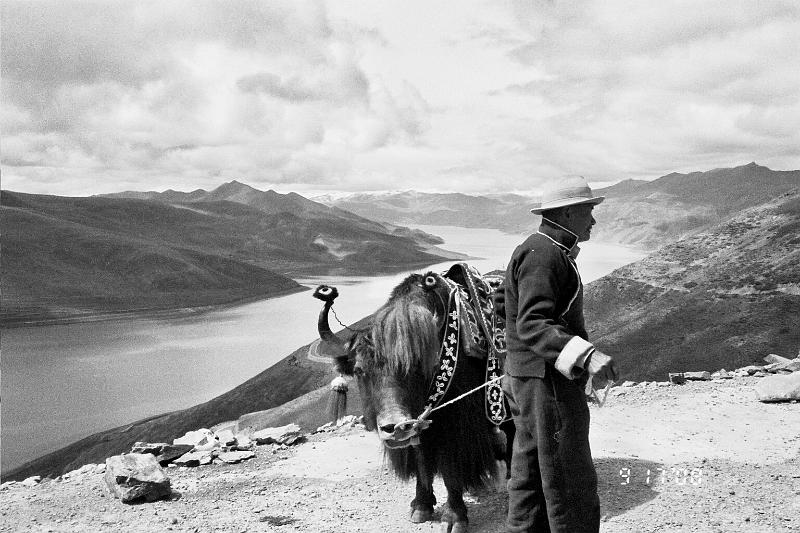 B&W-Man with yak.jpg